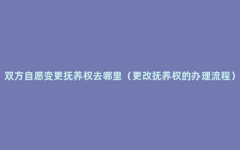 双方自愿变更抚养权去哪里（更改抚养权的办理流程）