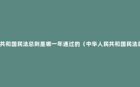 中华人民共和国民法总则是哪一年通过的（中华人民共和国民法总则释义）