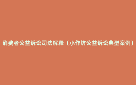 消费者公益诉讼司法解释（小作坊公益诉讼典型案例）