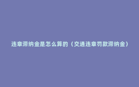 违章滞纳金是怎么算的（交通违章罚款滞纳金）