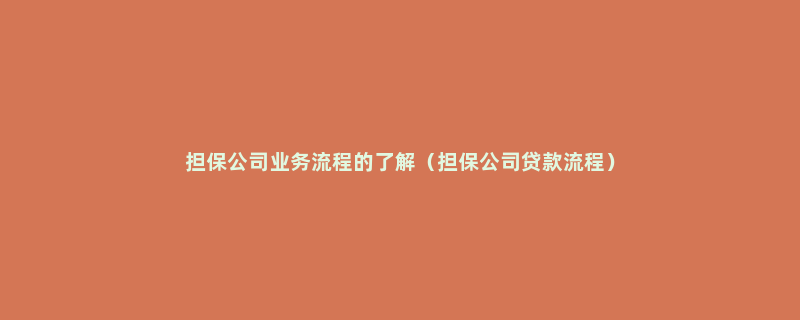 担保公司业务流程的了解（担保公司贷款流程）