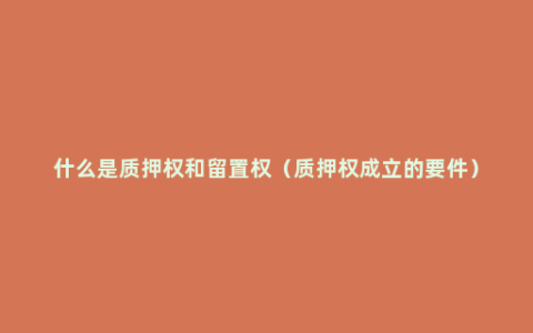 什么是质押权和留置权（质押权成立的要件）