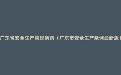 广东省安全生产管理条例（广东市安全生产条例最新版）