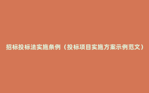 招标投标法实施条例（投标项目实施方案示例范文）