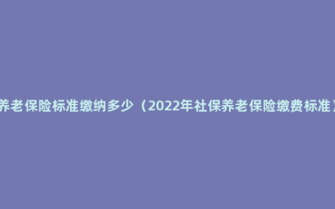 养老保险标准缴纳多少（2022年社保养老保险缴费标准）