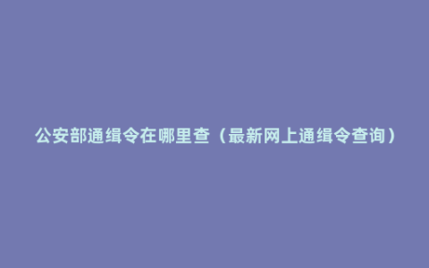 公安部通缉令在哪里查（最新网上通缉令查询）