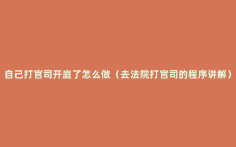 自己打官司开庭了怎么做（去法院打官司的程序讲解）