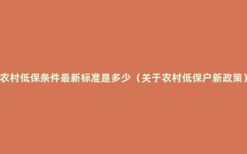 农村低保条件最新标准是多少（关于农村低保户新政策）