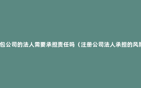 皮包公司的法人需要承担责任吗（注册公司法人承担的风险）