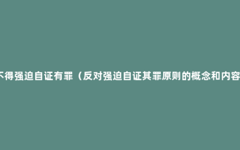 不得强迫自证有罪（反对强迫自证其罪原则的概念和内容）