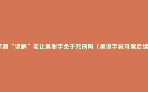 亲属“谅解”能让吴谢宇免于死刑吗（吴谢宇弑母案后续）