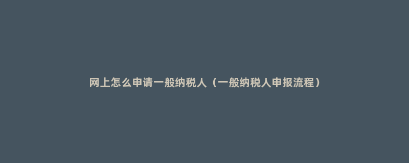 网上怎么申请一般纳税人（一般纳税人申报流程）