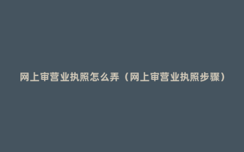 网上审营业执照怎么弄（网上审营业执照步骤）