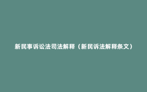 新民事诉讼法司法解释（新民诉法解释条文）