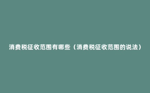 消费税征收范围有哪些（消费税征收范围的说法）