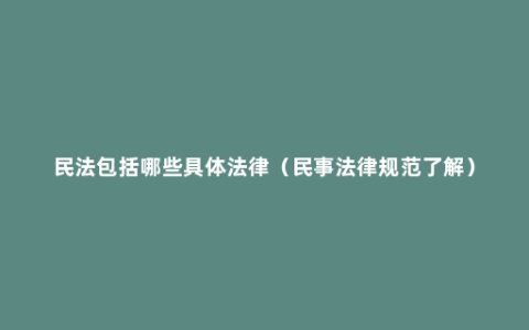 民法包括哪些具体法律（民事法律规范了解）