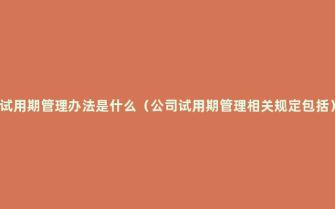 试用期管理办法是什么（公司试用期管理相关规定包括）