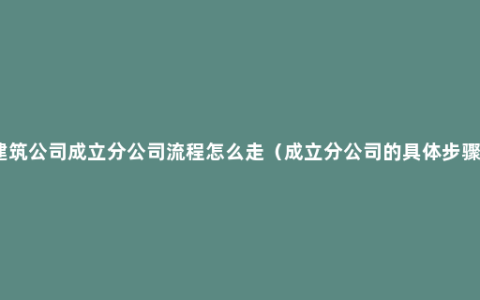 建筑公司成立分公司流程怎么走（成立分公司的具体步骤）