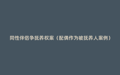 同性伴侣争抚养权案（配偶作为被抚养人案例）