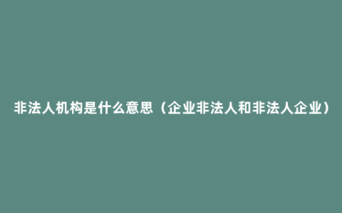 非法人机构是什么意思（企业非法人和非法人企业）