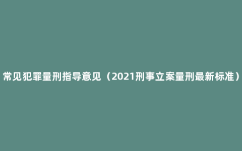 常见犯罪量刑指导意见（2021刑事立案量刑最新标准）