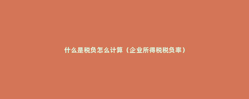 什么是税负怎么计算（企业所得税税负率）