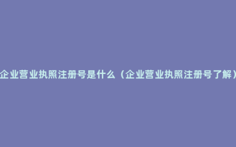 企业营业执照注册号是什么（企业营业执照注册号了解）