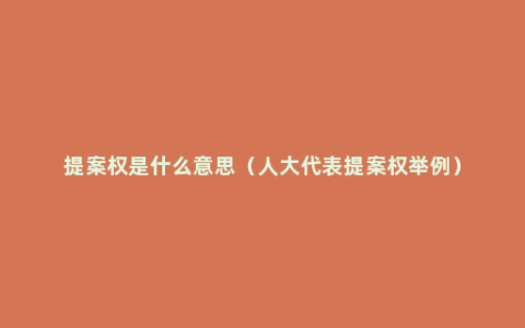 提案权是什么意思（人大代表提案权举例）