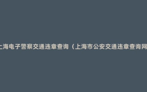 上海电子警察交通违章查询（上海市公安交通违章查询网）