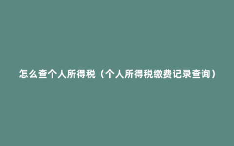 怎么查个人所得税（个人所得税缴费记录查询）