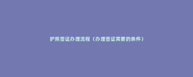 护照签证办理流程（办理签证需要的条件）