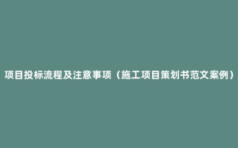 项目投标流程及注意事项（施工项目策划书范文案例）