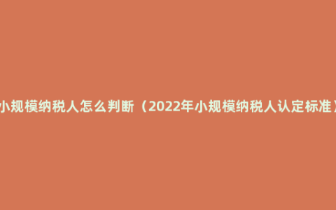 小规模纳税人怎么判断（2022年小规模纳税人认定标准）