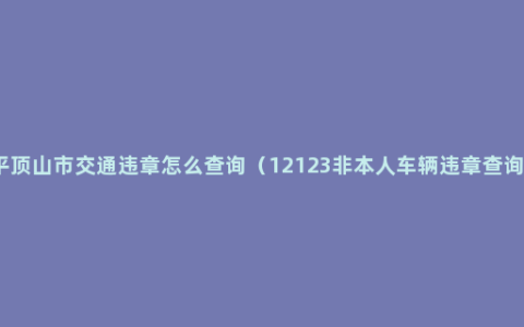 平顶山市交通违章怎么查询（12123非本人车辆违章查询）