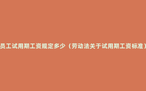 员工试用期工资规定多少（劳动法关于试用期工资标准）