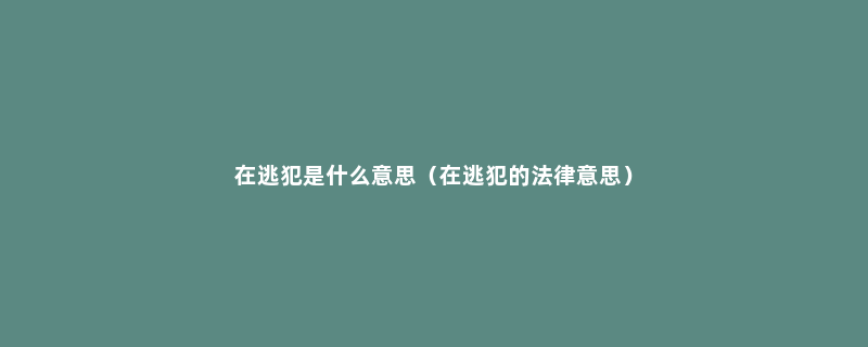 在逃犯是什么意思（在逃犯的法律意思）