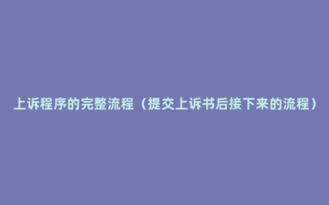 上诉程序的完整流程（提交上诉书后接下来的流程）