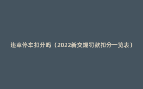 违章停车扣分吗（2022新交规罚款扣分一览表）