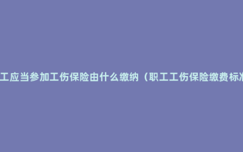 职工应当参加工伤保险由什么缴纳（职工工伤保险缴费标准）