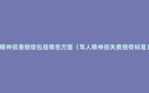 精神损害赔偿包括哪些方面（骂人精神损失费赔偿标准）