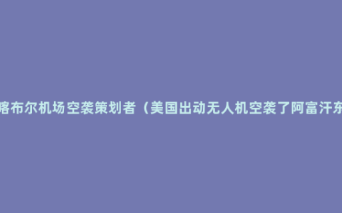 美称已击毙喀布尔机场空袭策划者（美国出动无人机空袭了阿富汗东部楠格哈尔省）