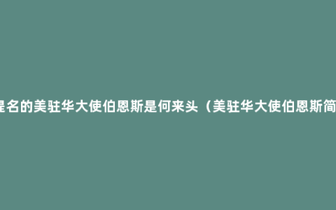 新提名的美驻华大使伯恩斯是何来头（美驻华大使伯恩斯简介）