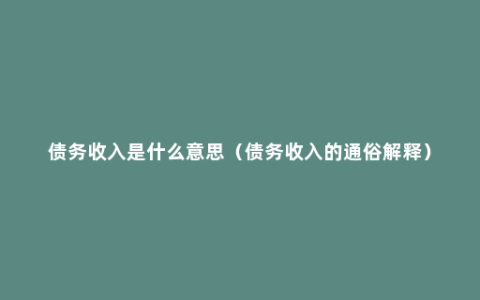 债务收入是什么意思（债务收入的通俗解释）