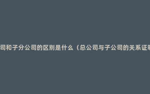 分子公司和子分公司的区别是什么（总公司与子公司的关系证明文件）