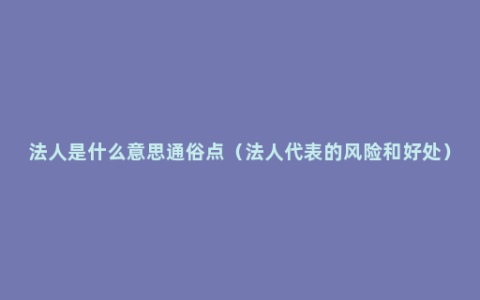 法人是什么意思通俗点（法人代表的风险和好处）