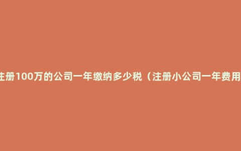 注册100万的公司一年缴纳多少税（注册小公司一年费用）