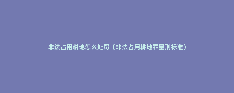 非法占用耕地怎么处罚（非法占用耕地罪量刑标准）