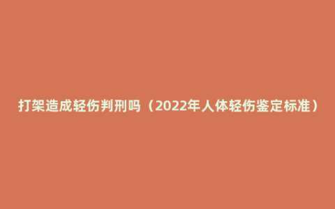 打架造成轻伤判刑吗（2022年人体轻伤鉴定标准）