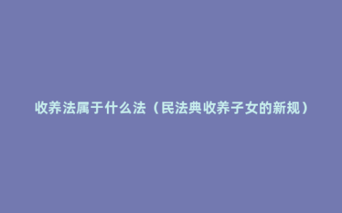 收养法属于什么法（民法典收养子女的新规）