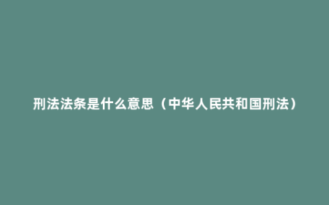 刑法法条是什么意思（中华人民共和国刑法）